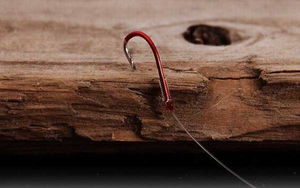 2.0子线能钓多大的鱼?