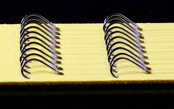 2.0子线能钓多大的鱼?