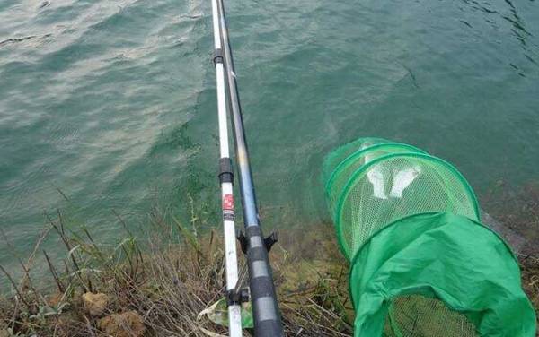 水库钓鱼怎么调漂?