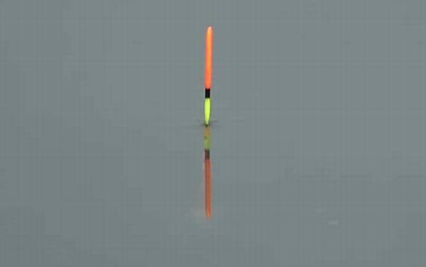 台钓调漂的技巧和方法