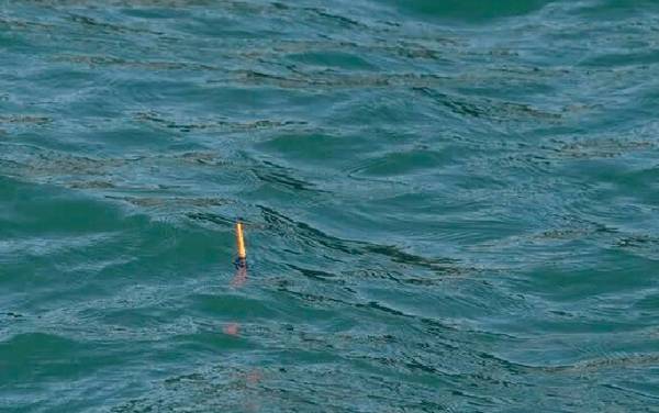 顿口最清楚的是调几钓几?