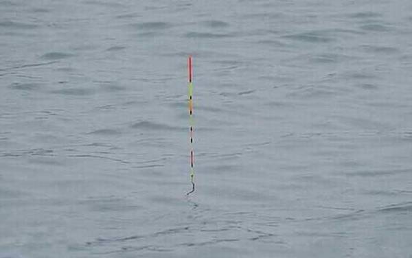 顿口最清楚的是调几钓几?