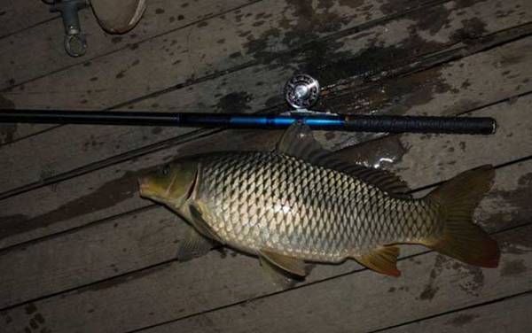 谷麦钓法用什么竿最好?