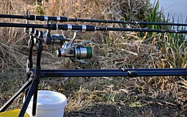 春天钓深水还是浅水?