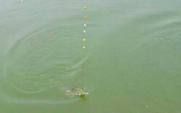 七星漂漂相大全及提竿技巧