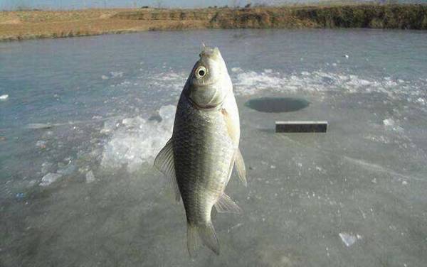 溪流钓有哪些钓法?