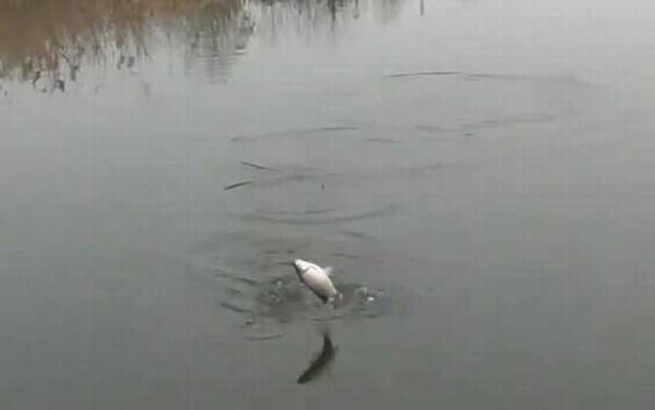 冬季钓鱼口诀大全