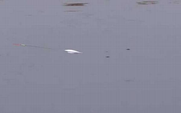 冬季钓鱼口诀大全