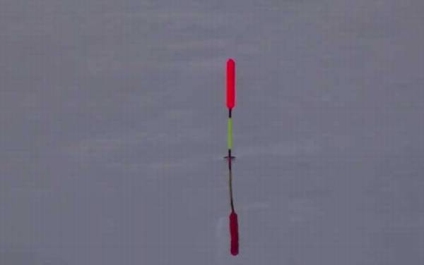 冬季钓鱼可以钓浮吗?