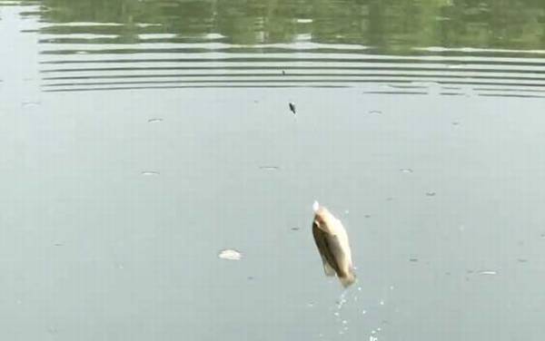 冬季钓鱼可以钓浮吗?