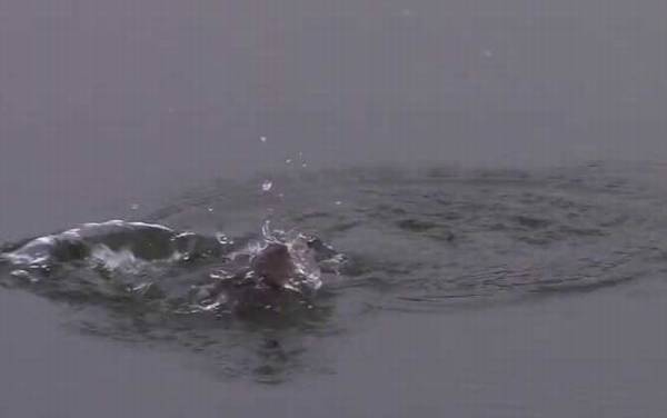 冬季钓鱼南岸好还是北岸好?