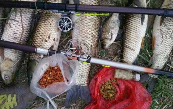 钓大鱼的最佳水深是多少?