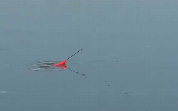 鱼漂的调法图解及漂相大全