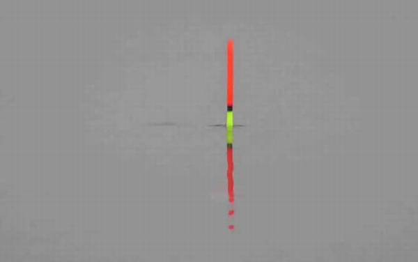 浮漂怎么调教程和技巧