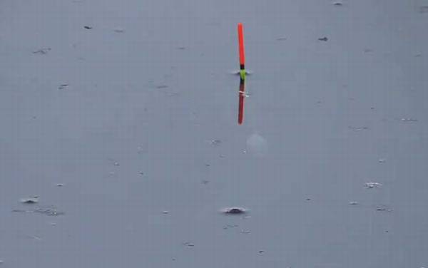 鱼漂怎么调钝和调灵?