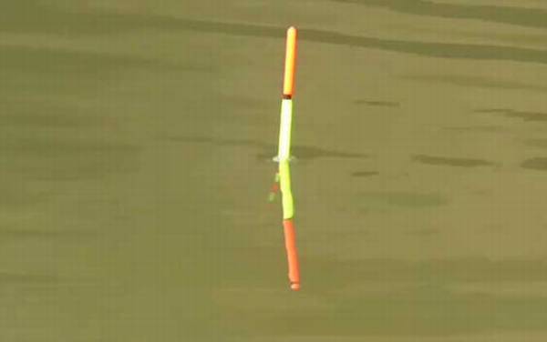 鱼漂怎么调钝和调灵?