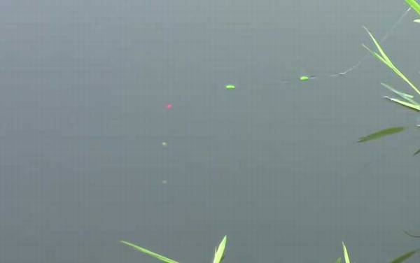 七星漂钓鱼的正确方法