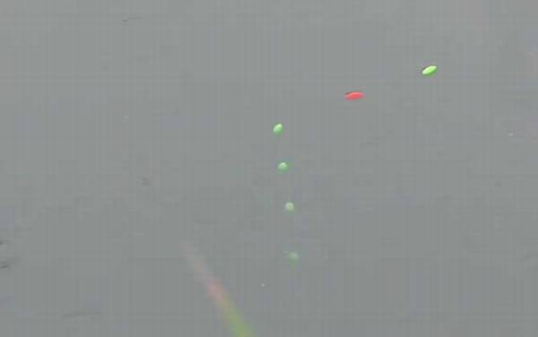 七星漂钓鱼效果怎么样?