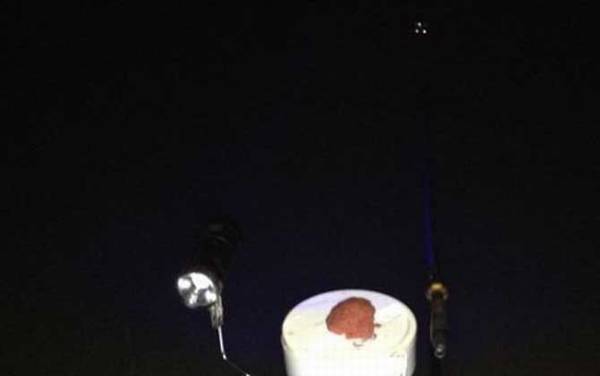 三月份夜钓好钓吗?