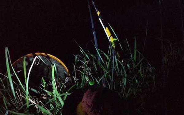 三月份夜钓好钓吗?