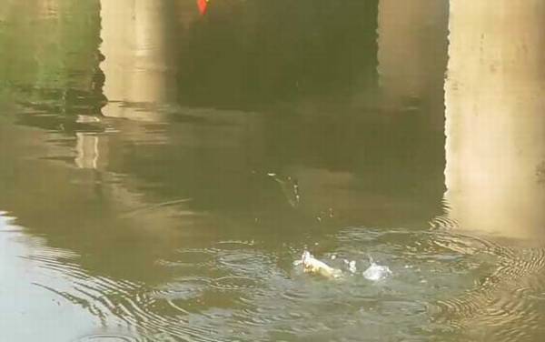 四月钓鱼最佳时间是什么时候?