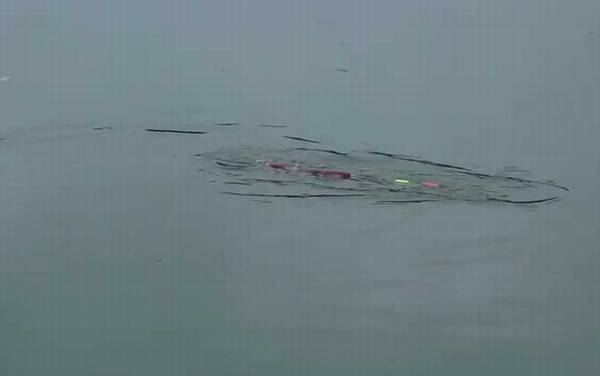 夏季钓鱼小鱼闹窝怎么解决?