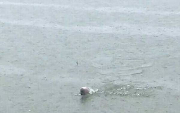 初夏钓鱼天气怎么选择?