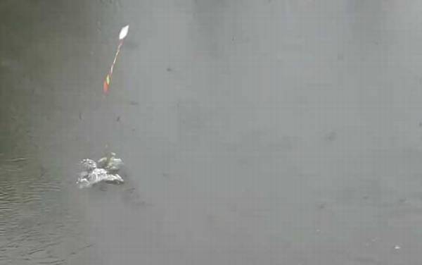 夏季钓鱼技巧和方法