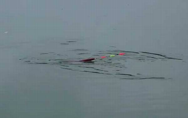 七月钓鱼好钓吗?