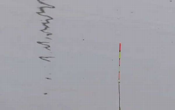 七月钓鱼好钓吗?