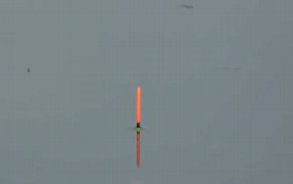 秋季钓鱼如何选钓位?