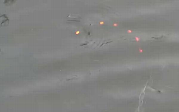 八月钓鱼是钓浅水还是深水?