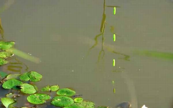 十月钓鱼钓多深合适?