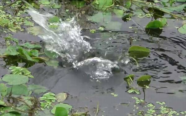 十月钓鱼钓多深合适?