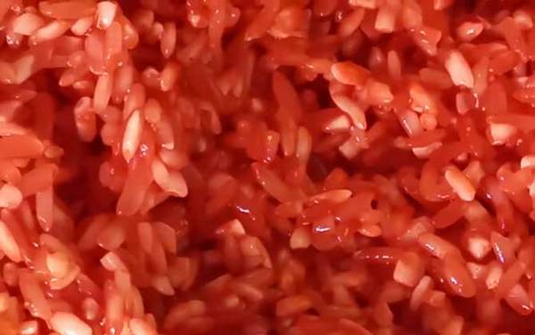 酒米打窝一次多少量合适?