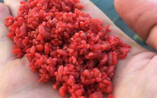 酒米打窝一次多少量合适?