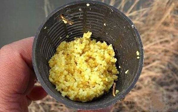 酒米打窝多久补一次窝?