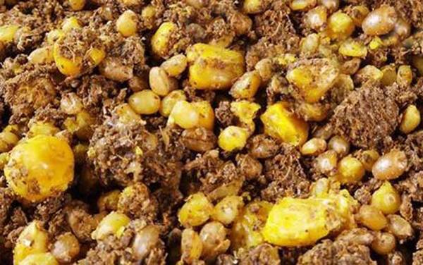 水库钓鱼用玉米好钓吗?