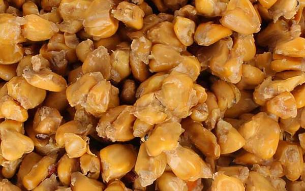 水库钓鱼用玉米好钓吗?