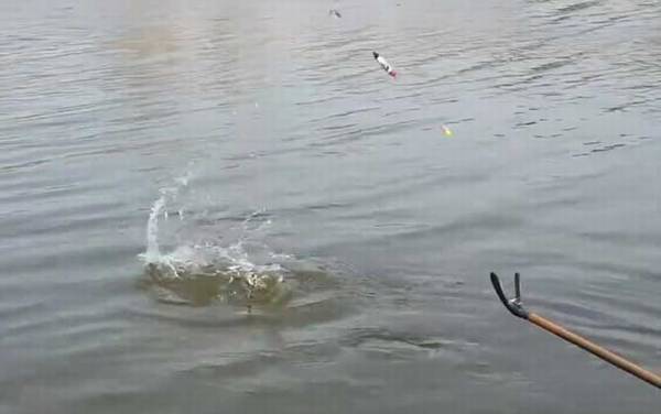 春季钓鱼在上风还是下风?