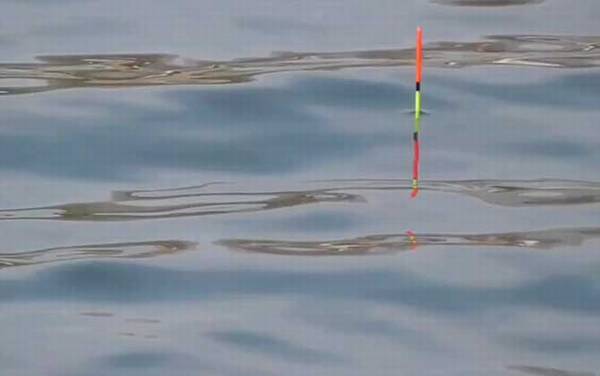 三月钓鱼什么时候出钓最好?