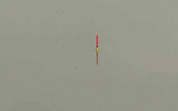 蚯蚓钓鱼的技巧和方法,名副其实的“万能饵料”,简单又好用!