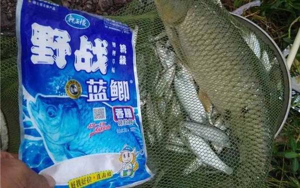 钓鱼万能饵料有哪些?这6种饵料,最适合鱼情复杂的野钓!