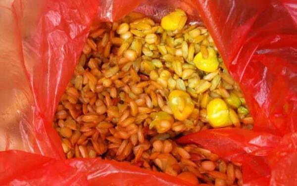 钓鱼万能饵料有哪些?这6种饵料,最适合鱼情复杂的野钓!