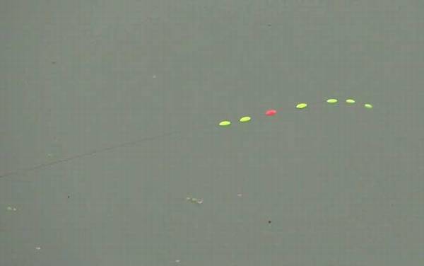 Ư˫׹ƯƯ࣬ŵֻһƯ