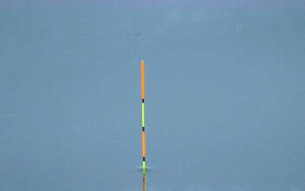 Ư༼ɴȫƯֵڴٿںƯߣ