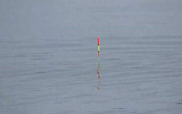 黑漂为什么会跑鱼?黑漂上鱼率并不高,多数是小鱼闹窝引起的!