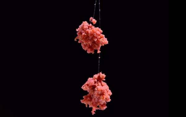 钓鱼用什么味型的饵料?千万别乱用,鱼情不同饵料味型也不同!