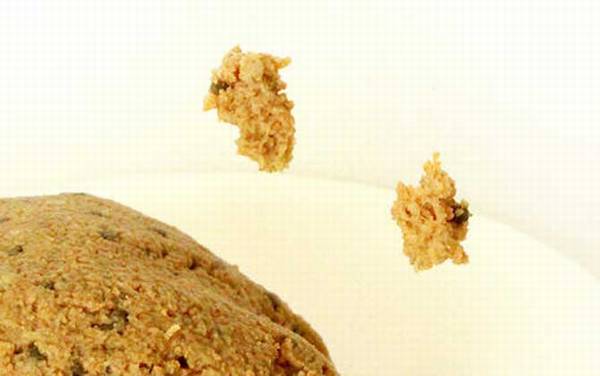 钓鱼用什么味型的饵料?千万别乱用,鱼情不同饵料味型也不同!