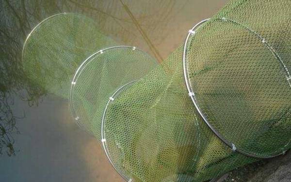 钓鱼工具有哪些?除了鱼竿、鱼线、鱼钩和鱼饵,还有这些工具!